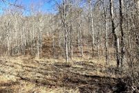 Land for sale in Wayne County, West Virginia