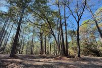 Homesite for sale in Jasper County, Texas