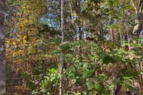 Land for sale in Angelina County, Texas