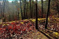 Land for sale in Shenandoah County, Virginia