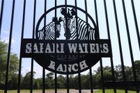 Land for sale in Henderson County, Texas