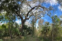 Land for sale in Citrus County, Florida