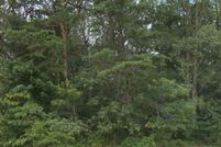 Land for sale in Dorchester County, Maryland