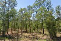 Land for sale in Marion County, Florida