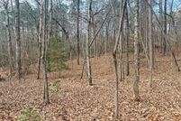 Land for sale in Dawson County, Georgia