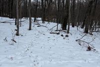 Land for sale in Mecosta County, Michigan