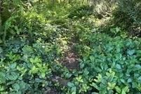 Land for sale in Lincoln County, Oregon