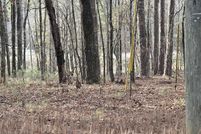 Land for sale in Talladega County, Alabama