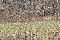 Land for sale in Westmoreland County, Pennsylvania