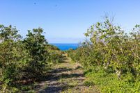 Land for sale in Hawaii County, Hawaii