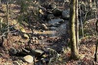 Land for sale in Yell County, Arkansas