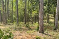 Land for sale in Baldwin County, Alabama