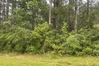 Homesite for sale in Beauregard Parish, Louisiana