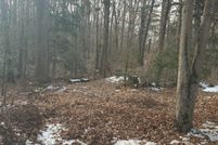 Timberland Property for sale in Henrico County, Virginia