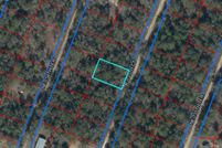 Land for sale in Levy County, Florida