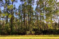 Undeveloped Land for sale in Orange County, Florida
