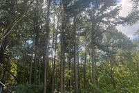 Land for sale in Anderson County, Texas