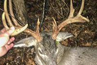 Land for sale in Franklin County, Missouri