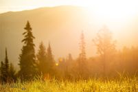 Land for sale in Gallatin County, Montana