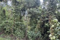 Land for sale in Evangeline Parish, Louisiana