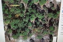 Land for sale in Hendry County, Florida