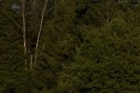 Land for sale in Hawkins County, Tennessee