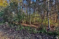 Land for sale in Morgan County, Tennessee