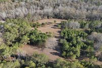 Land for sale in Macon County, Alabama