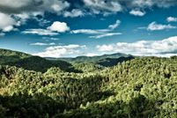 Land for sale in Madison County, North Carolina