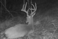 Land for sale in Metcalfe County, Kentucky