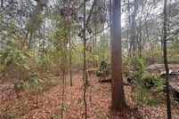 Land for sale in Tangipahoa Parish, Louisiana