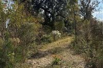 Undeveloped Land for sale in Livingston Parish, Louisiana