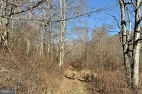 Undeveloped Land for sale in Summers County, West Virginia