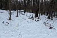 Land for sale in Mecosta County, Michigan