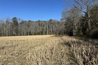 Land for sale in Wicomico County, Maryland