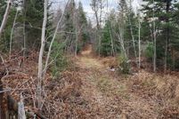 Land for sale in Mackinac County, Michigan