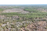 Undeveloped Land for sale in Taylor County, Florida