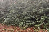 Land for sale in Avery County, North Carolina