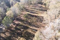 Land for sale in Wilkinson County, Mississippi