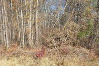 Land for sale in Macon County, Alabama