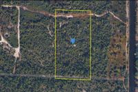 Undeveloped Land for sale in Collier County, Florida