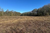 Land for sale in Geneva County, Alabama