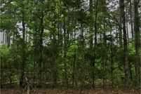 Land for sale in Bossier Parish, Louisiana