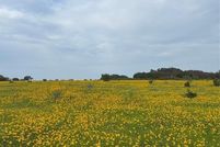 Land for sale in Erath County, Texas