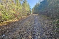 Land for sale in Morgan County, Tennessee
