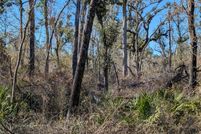 Undeveloped Land for sale in Lafayette County, Florida