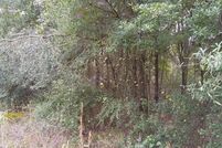 Land for sale in Pasco County, Florida