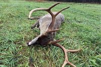 Land for sale in McDonald County, Missouri