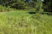 Land for sale in Attala County, Mississippi