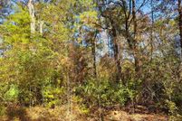 Land for sale in Gulf County, Florida